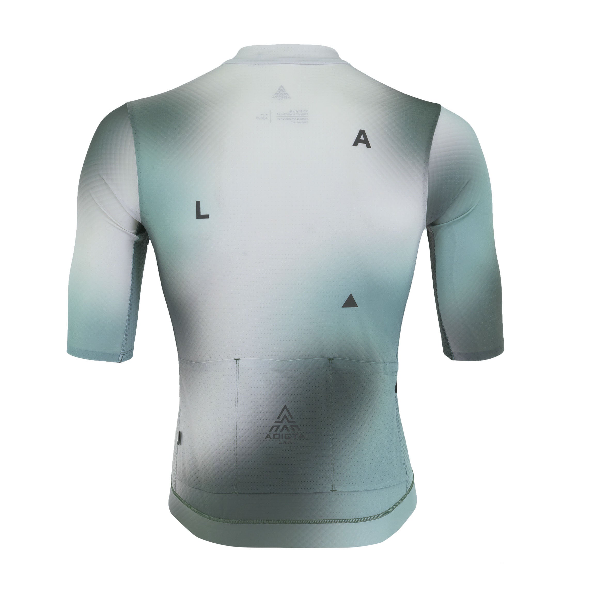 ADICTA LAB Apparel | Men's Lightweight Performance Jersey MOON / THYME